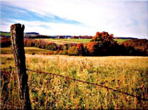 Farm fields