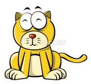 Yellow cat