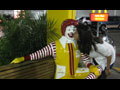 The Free Will of Ronald McDonald